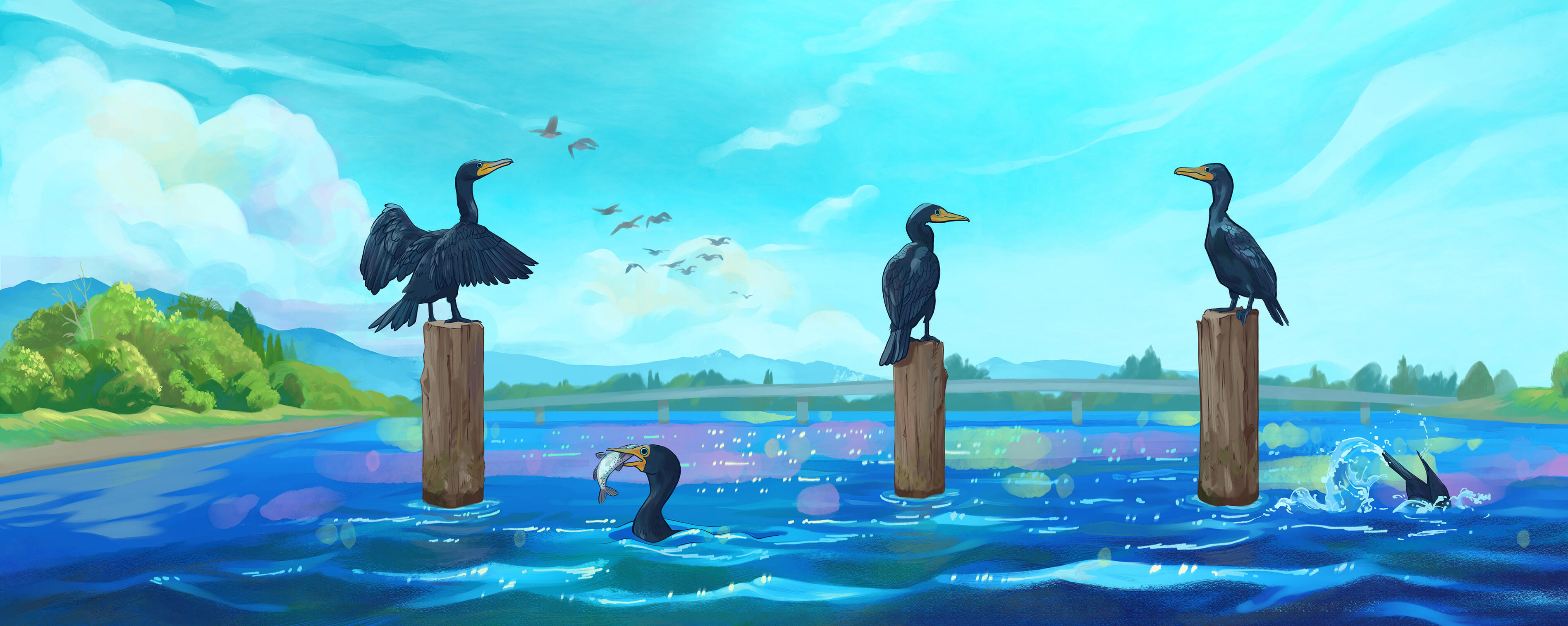 Cormorants in Sun